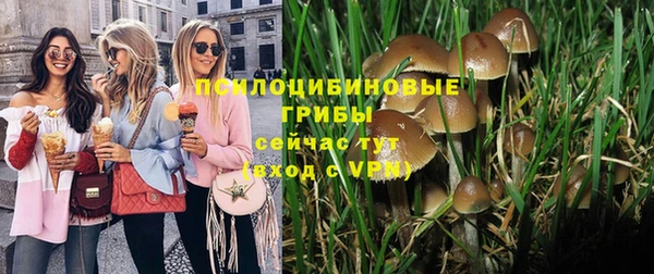 мяу мяу мука Беломорск