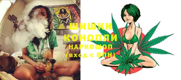 кокс Белокуриха
