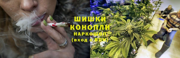 кокс Белокуриха