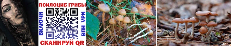 Галлюциногенные грибы MAGIC MUSHROOMS  Гусев 